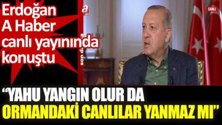 Yahu yangın olur da ormandaki canlılar yanmaz mı?