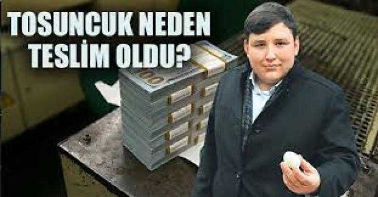Tosuncuk neden teslim oldu?