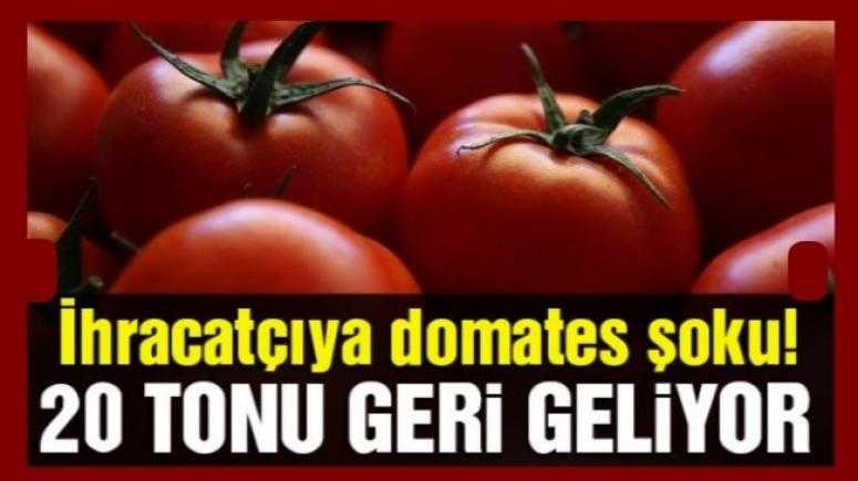 Rusya, 20 ton domatesi Türkiye'ye iade etti